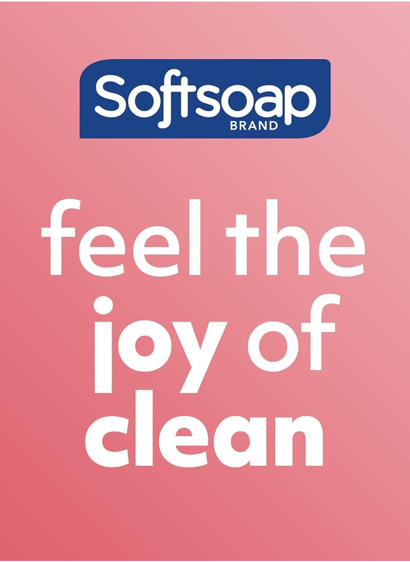 Softsoap - Softsoap Body Wash, Coconut Butter Scrub , Exfoliating Body Wash, 20 Ounce, 4 Pack - Image 1