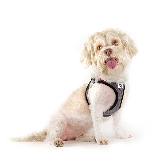 Curli Vest Harness Merino curli Clasp Black XS - Image 3