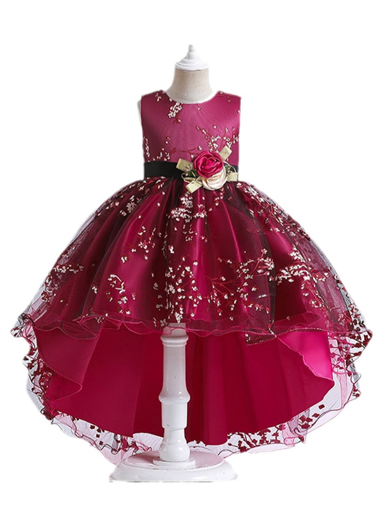 Girls sleeveless princess dress printed tail performance evening dress printed tutu skirt mesh skirt summer Costumes - Image 1