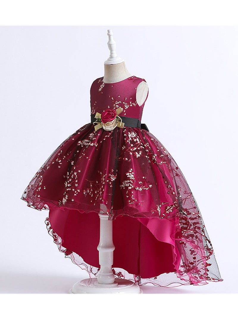 Girls sleeveless princess dress printed tail performance evening dress printed tutu skirt mesh skirt summer Costumes - Image 2