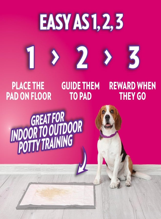 OUT! PetCare XL Training Pads, Leak-Proof Disposable Pee Pads for Dogs, Potty Training with Odor Control, Extra Absorbent, Housebreaking, Dog Crate & Travel, Puppy Essentials 26"x24", 60 Count - Image 4