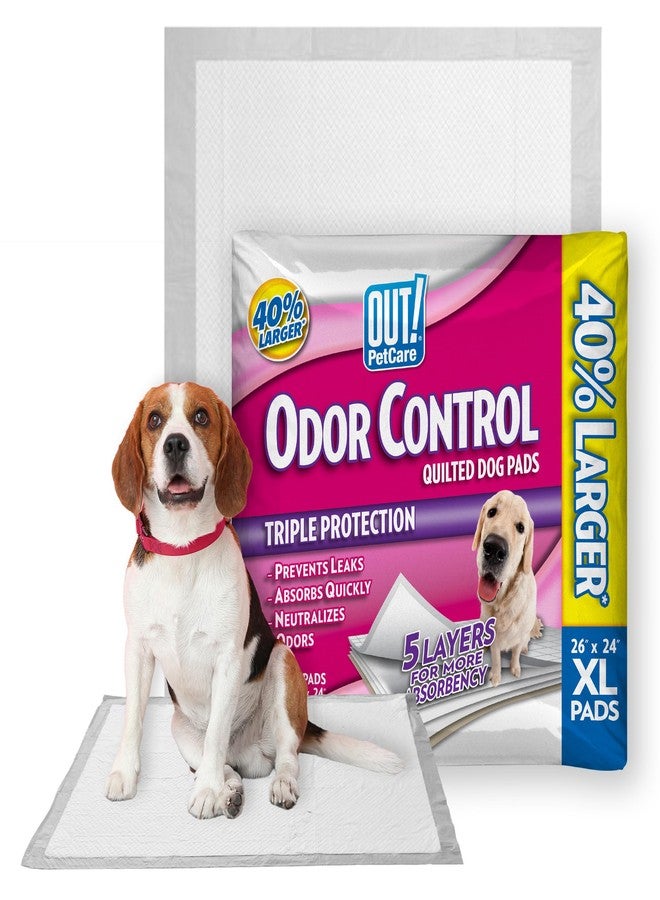 OUT! PetCare XL Training Pads, Leak-Proof Disposable Pee Pads for Dogs, Potty Training with Odor Control, Extra Absorbent, Housebreaking, Dog Crate & Travel, Puppy Essentials 26"x24", 60 Count - Image 1