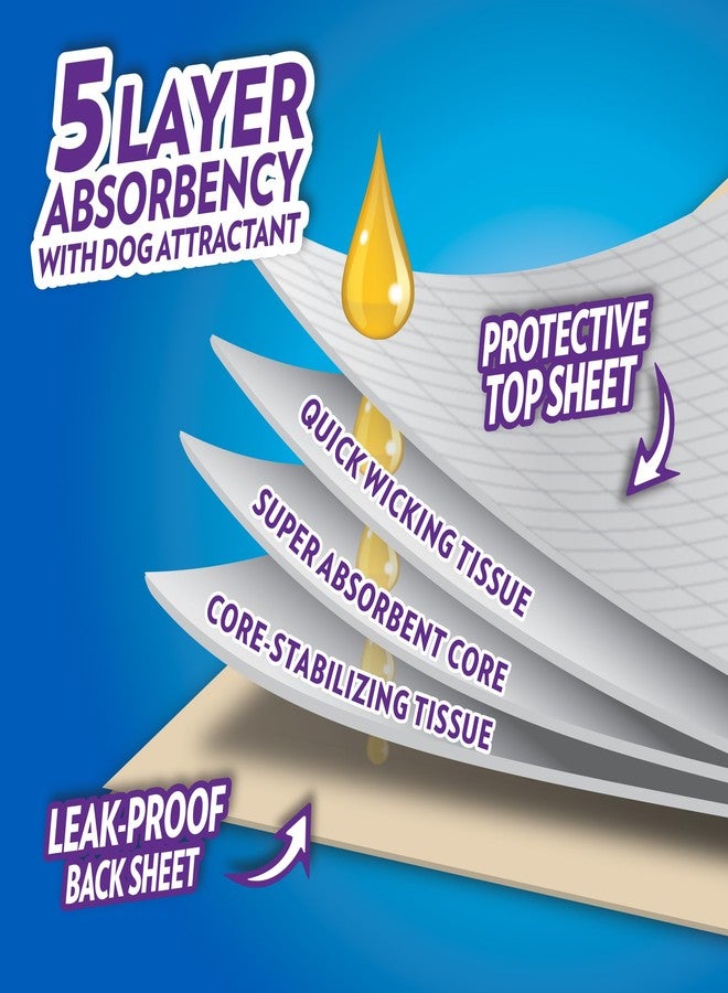 OUT! PetCare XL Training Pads, Leak-Proof Disposable Pee Pads for Dogs, Potty Training with Odor Control, Extra Absorbent, Housebreaking, Dog Crate & Travel, Puppy Essentials 26"x24", 60 Count - Image 2