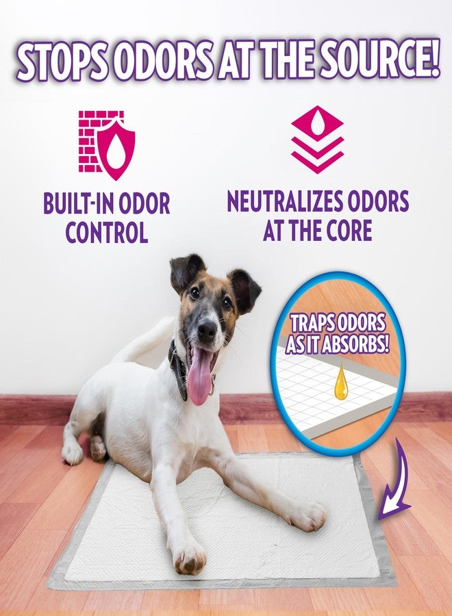 OUT! PetCare XL Training Pads, Leak-Proof Disposable Pee Pads for Dogs, Potty Training with Odor Control, Extra Absorbent, Housebreaking, Dog Crate & Travel, Puppy Essentials 26"x24", 60 Count - Image 3