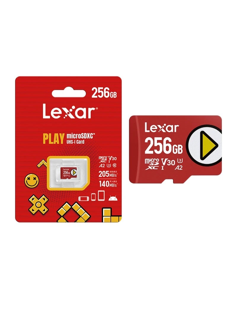 ليكسار ذاكرة تخزين Lexar سعه 256 جيجا سرعه 205MB - Image 2