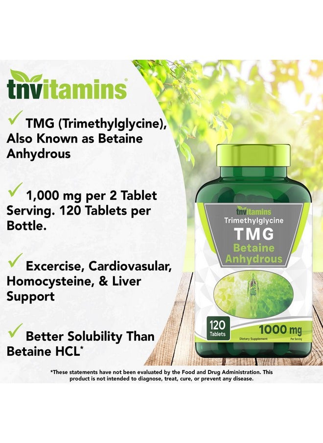 tnvitamins - tnvitamins TMG Supplement 1000mg (Betaine Anhydrous) 120 Tablets | Better Than Betaine HCL* | Homocysteine Support* | Trimethylglycine | Non-GMO, Made in The USA! - Image 1