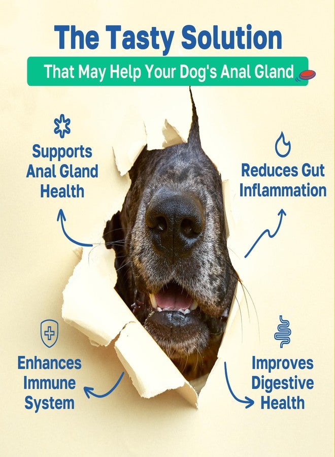 Happy Paws Scoot Stop Supplement for Dogs, Anal Gland Chew & Digestive Health Support for Dogs of All Breeds & Ages, Vegan Chicken Flavor, 100 Soft Chews - Image 2
