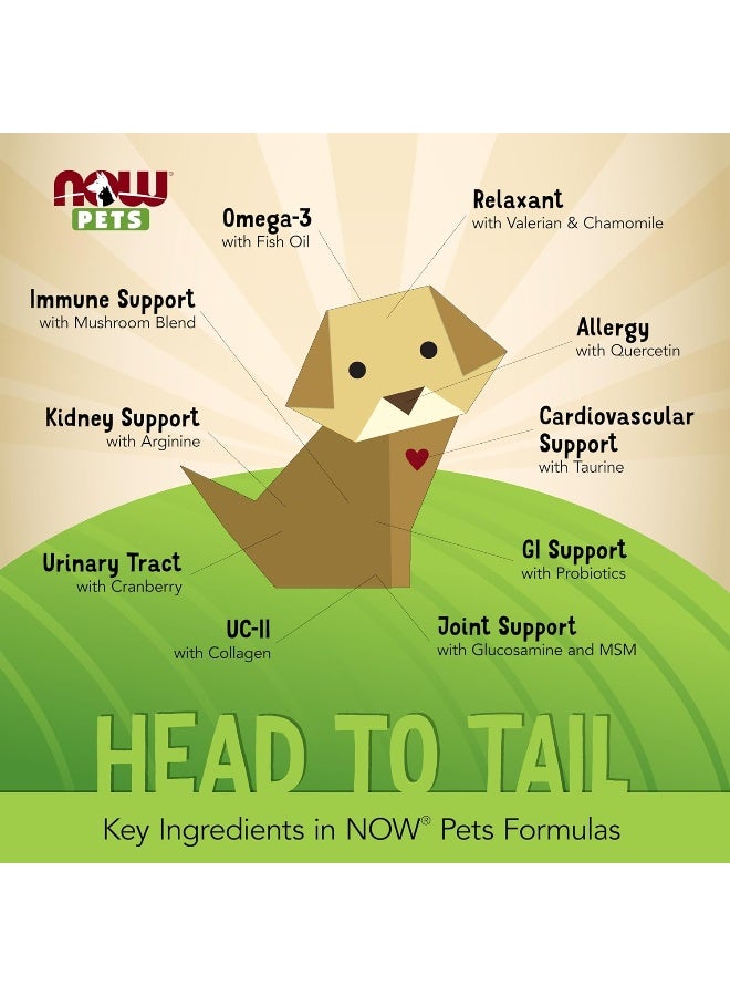 NOW لصحة الحيوانات الأليفة، مكمل L-لايسين، مسحوق، مصمم للقطط، معتمد من NASC، 8 أونصات - Image 2