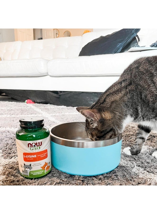 NOW لصحة الحيوانات الأليفة، مكمل L-لايسين، مسحوق، مصمم للقطط، معتمد من NASC، 8 أونصات - Image 4