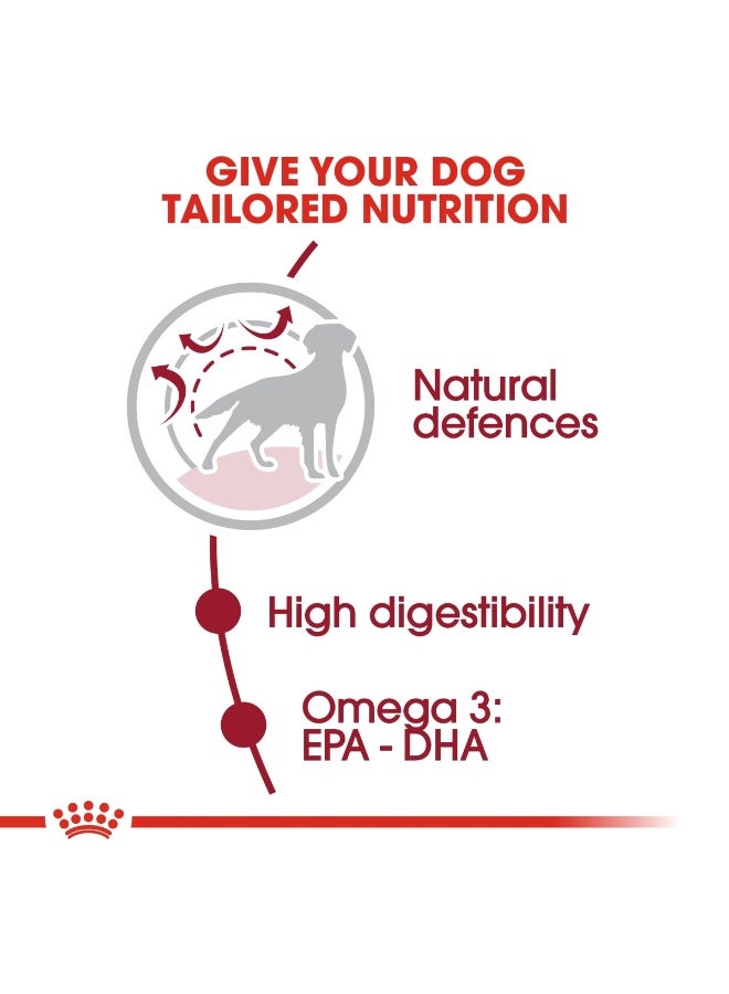 ROYAL CANIN Size Health Nutrition Medium Adult 1 KG - Image 3