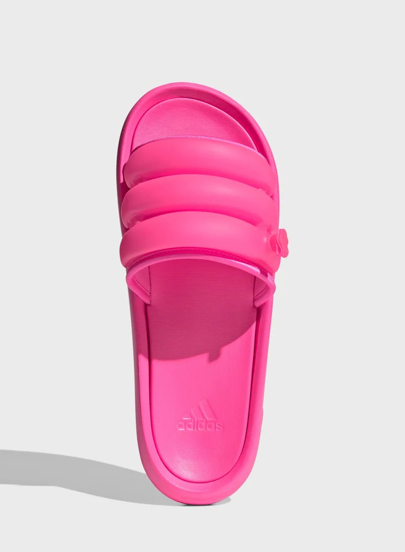 Adidas Zplaash