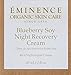 Eminence Blueberry Soy Night Recovery Cream for Unisex - 2 oz Cream - Image 3
