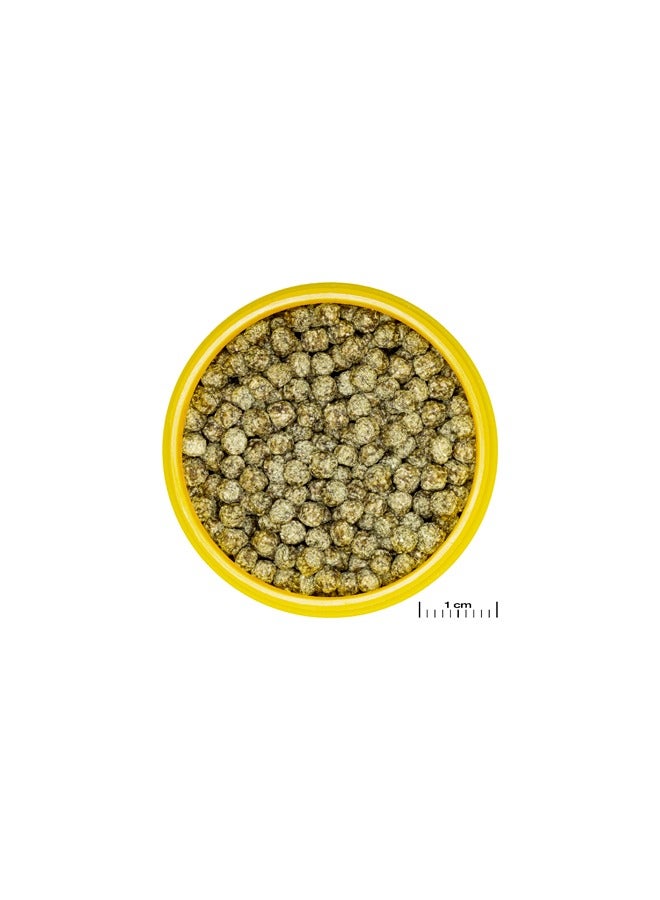 JBL Pronovo Red Grano M - 100ML - Image 2