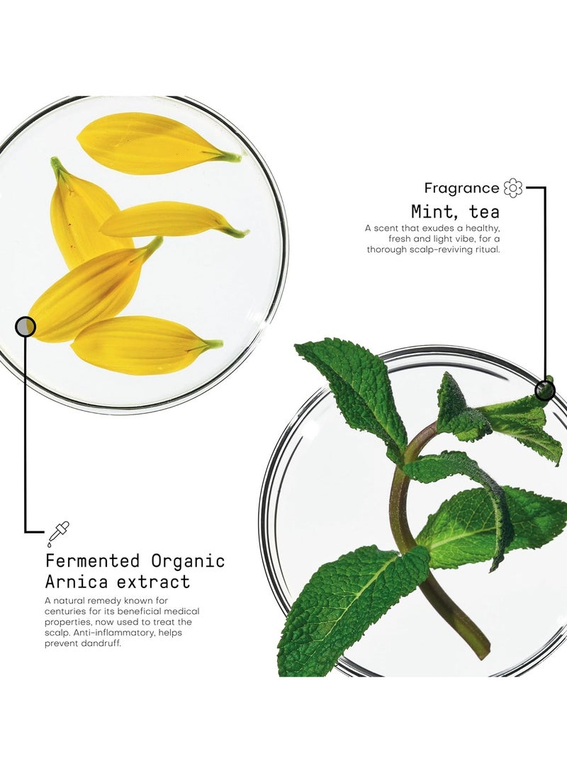 فراميسي مورفوسيسيس - شامبو إزالة التوتر من فروة الرأس 250 مل - Image 3