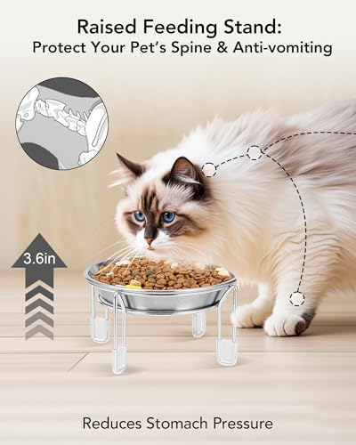 PapiCola Elevated cat Bowl 63 Wide Raised Stainless Steel Cat Food and Water Dishes Small Dog Bowl Whisker Friendly AntiVomiting Neck StressFree NonSlip Stainless Steel Stand with 4 Legs 2Pack - Image 3