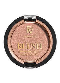 FV Long Lasting Powder Blush Lightweight Smooth  Blendable Blush for Cheeks High Buildable Color Blush Powder TransferResistant Shimmer Finish Cheek Makeup Nude Shimmer 017 OZ