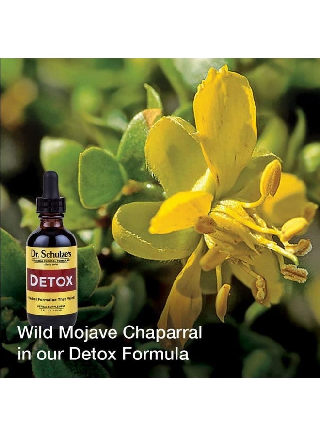 Dr. Schulze's 5 Day Kidney - Image 4