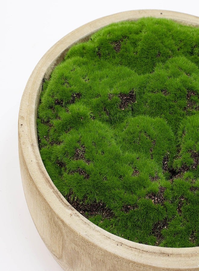 NAHARO Moss Wood Bowl,Natural Round Decorative Dough Bowl, Artificial Moss Bowl Centerpiece for Wedding Table Centerpiece, Home Decoration, Living Room, Office, No Maintenance - Image 4