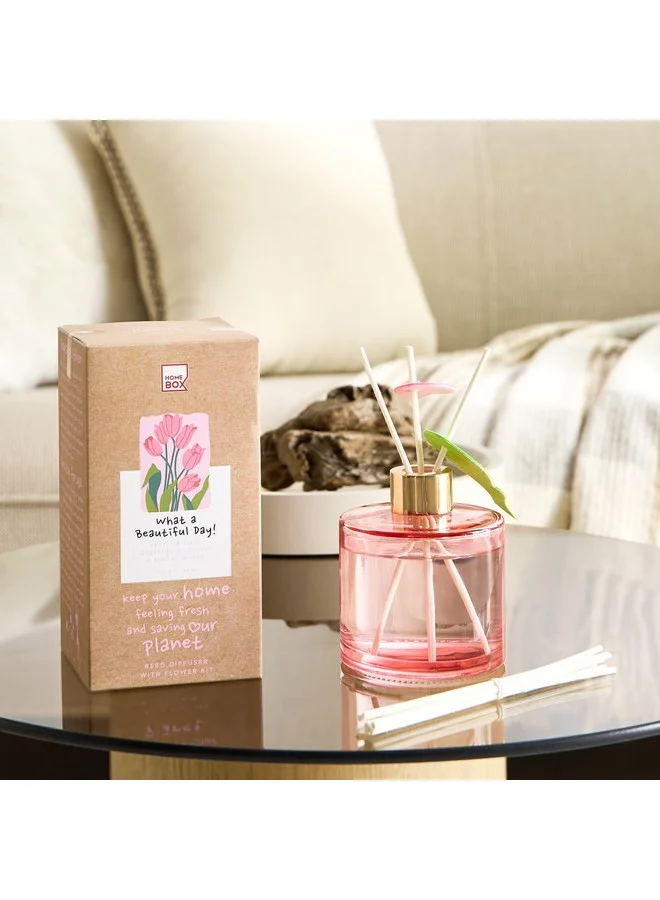 Home Box Abbey Urban Nature What A Beautiful Day Reed Diffuser 180 ml