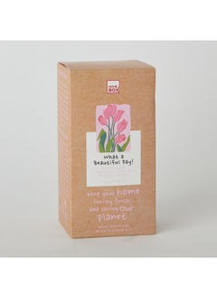 Home Box Abbey Urban Nature What A Beautiful Day Reed Diffuser 180 ml  - Image 5