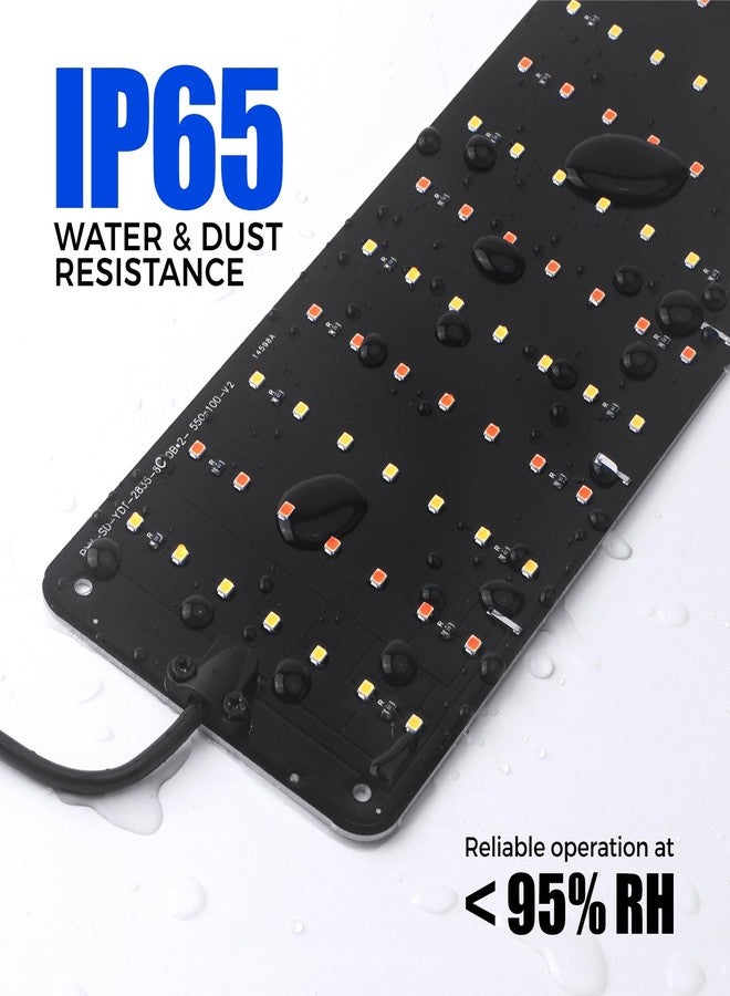 Barrina Portable Mini Greenhouse - Image 5