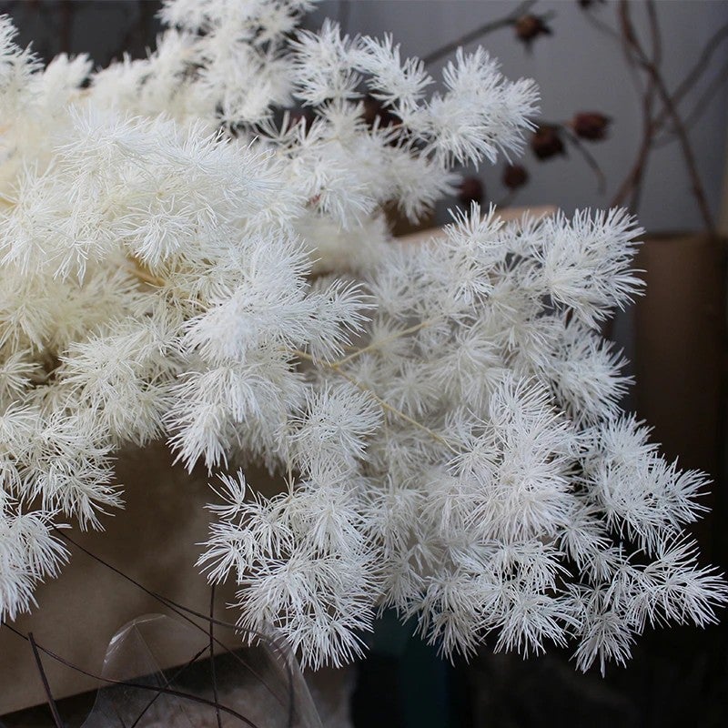 Bluejw Handmade Dried Asparagus Fern Myriocladus Yunnan Ming Fern - Preserved Christmas Thanksgiving Ornament, Natural Dried Plants Decor - Image 2