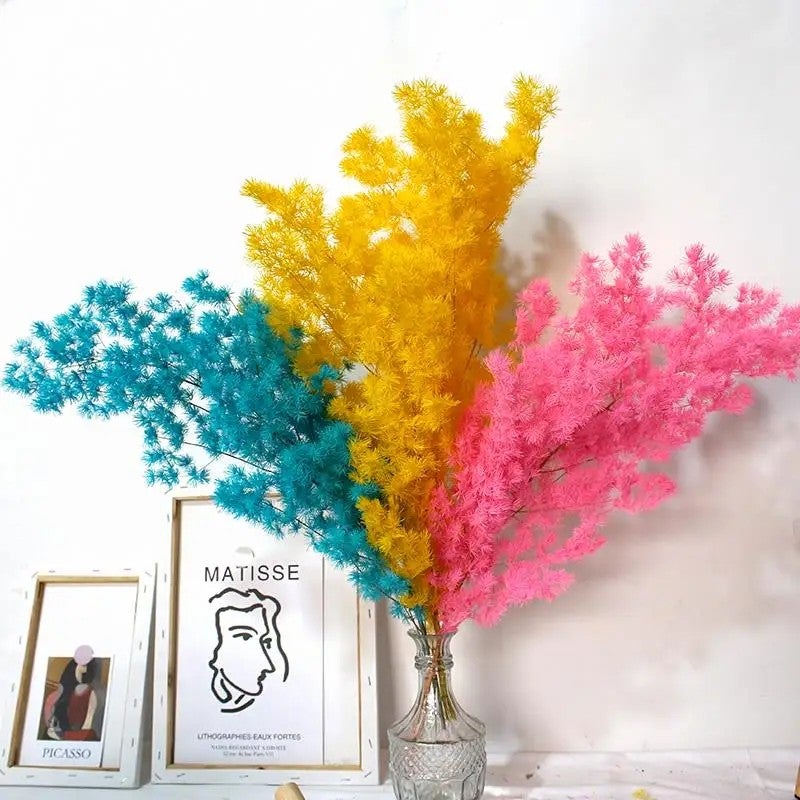 Bluejw Handmade Dried Asparagus Fern Myriocladus Yunnan Ming Fern - Preserved Christmas Thanksgiving Ornament, Natural Dried Plants Decor - Image 5
