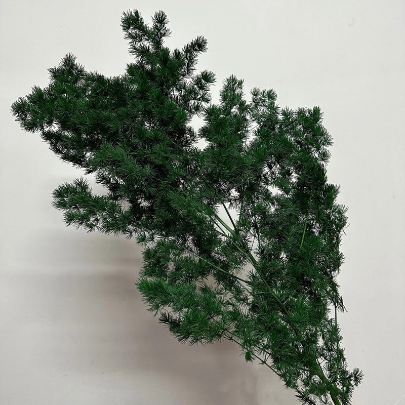 Bluejw Handmade Dried Asparagus Fern Myriocladus Yunnan Ming Fern - Preserved Christmas Thanksgiving Ornament, Natural Dried Plants Decor - Image 1