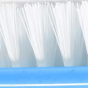 TRIXES Nail Brush 3 Pcs Plastic Clean Brush Hand Scrubbing Cleaning Brush with Translucent Plastic Handle Body for Cleaning Nails Pink Purple and Blue - Image 3