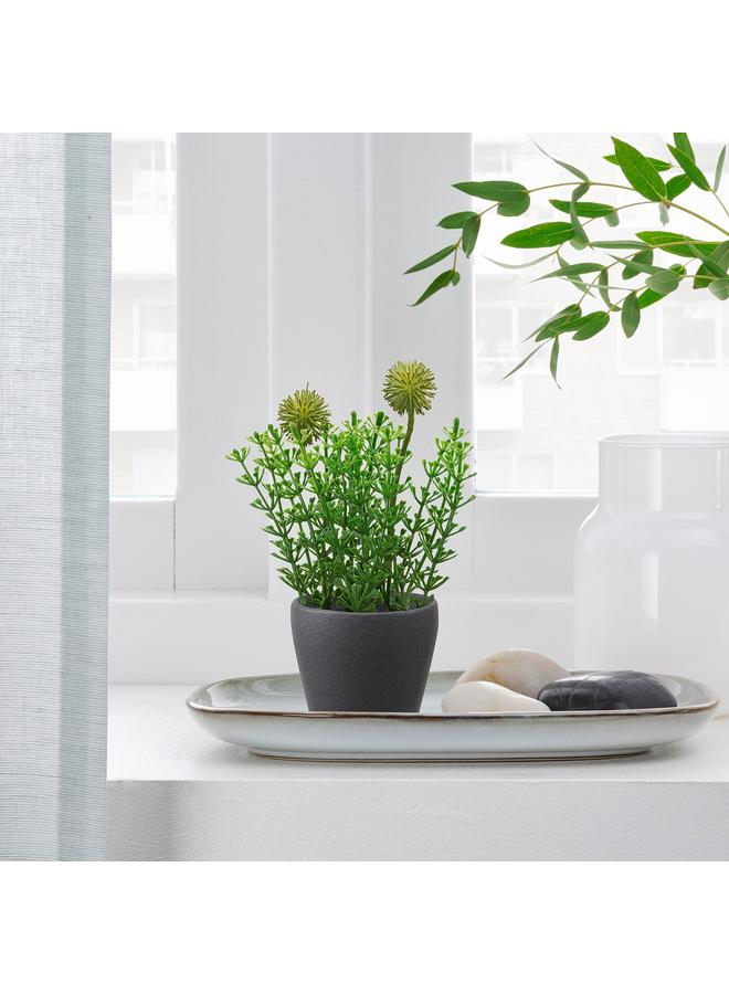 erorex Plant Pot, Dark Grey, 6 Cm - Image 2