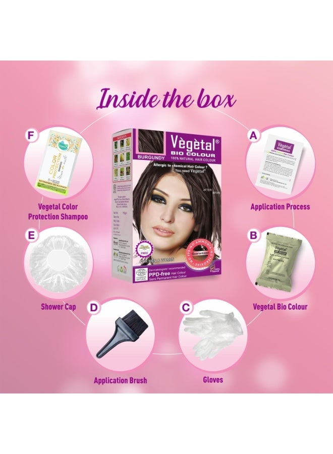 فيجيتال صبغة شعر نباتية عضوية - عنابي 150 غرام. احصلي على لون شعر طبيعي، خالٍ من الأمونيا، خالٍ من مادة PPD، 100% أعشاب عضوية معتمدة للرجال والنساء. حماية من الأشعة فوق البنفسجية، والحفاظ على لمعان الشعر. مجموعة كاملة - Image 2
