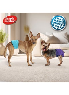 Simple Solution Simple Solution Washable Male Dog Diapers | Absorbent Male Wraps with Leak Proof Fit | Excitable Urination, Incontinence, or Male Marking | 1 Reusable Dog Diaper Per Pack, Whites & Tans, Large (11242)  - Image 2