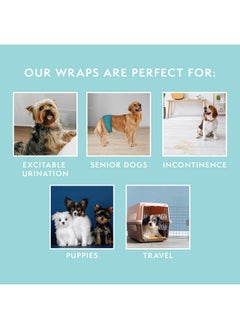 Simple Solution Simple Solution Washable Male Dog Diapers | Absorbent Male Wraps with Leak Proof Fit | Excitable Urination, Incontinence, or Male Marking | 1 Reusable Dog Diaper Per Pack, Whites & Tans, Large (11242)  - Image 5