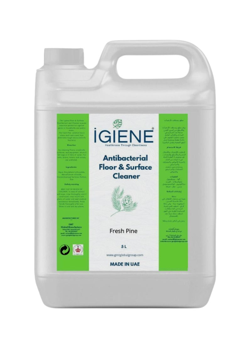 IGIENE Antibacterial Floor & Surface Cleaner  Fresh Pine 5L