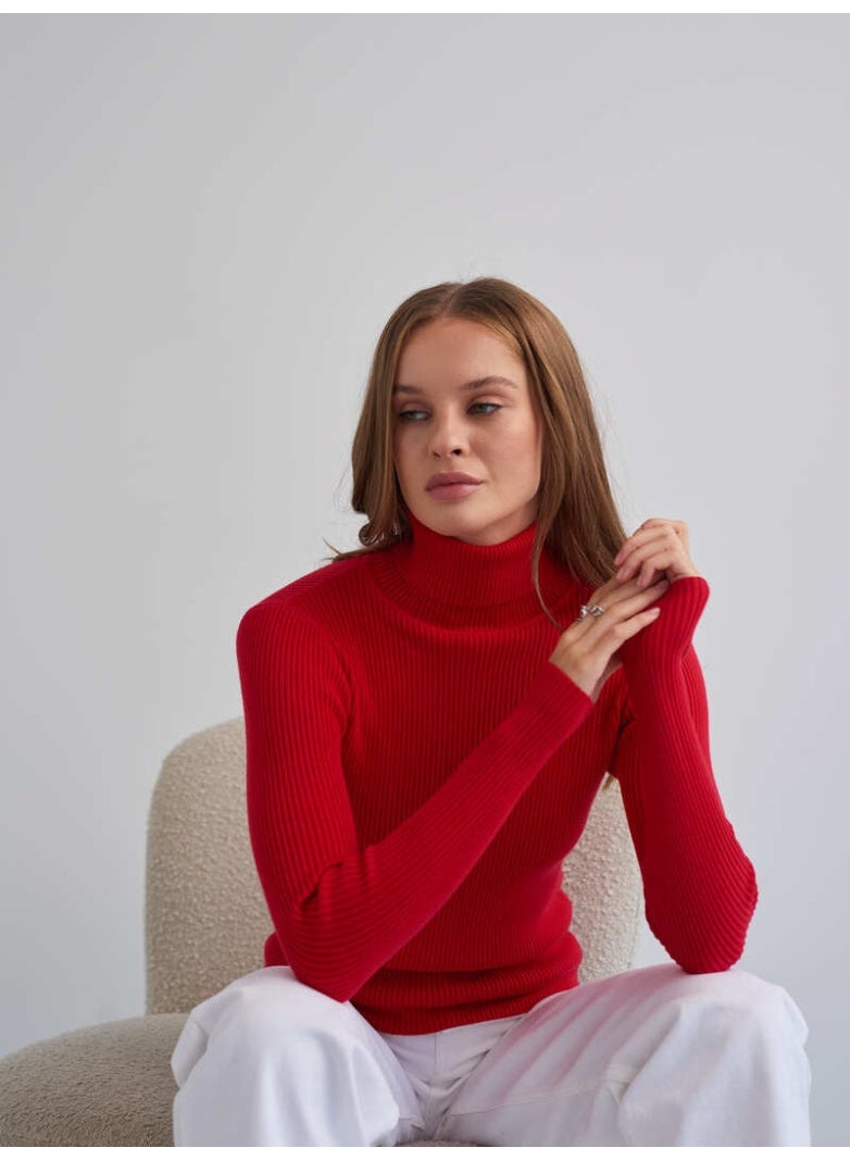 NIBEMINENT Bornladies Basic Turtleneck Women Sweaters Autumn Winter Tops Slim Women Pullover Knitted Sweater Jumper Soft Warm Pull - Image 2