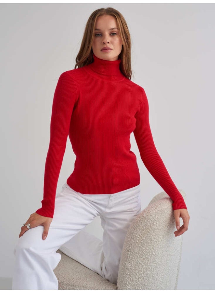 NIBEMINENT Bornladies Basic Turtleneck Women Sweaters Autumn Winter Tops Slim Women Pullover Knitted Sweater Jumper Soft Warm Pull - Image 1