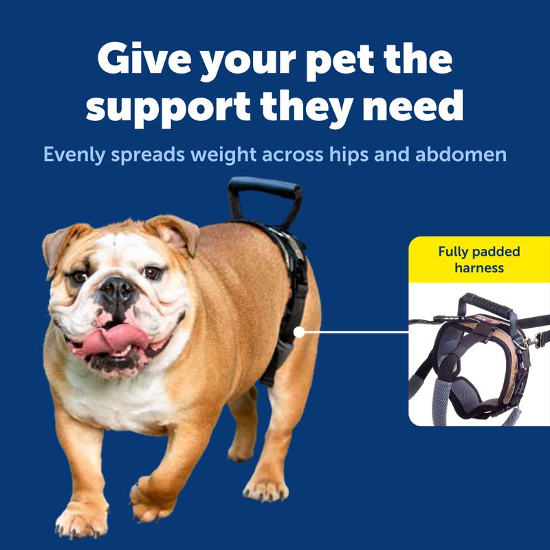 PetSafe CareLift Rear Support Harness - Senior & Disabled Dog Rear Mobility Support - Easy-Fitting, Breathable Belly Straps with Lifting Aid Handle & Shoulder Strap - for Medium Dogs 35-70 lb - Image 3