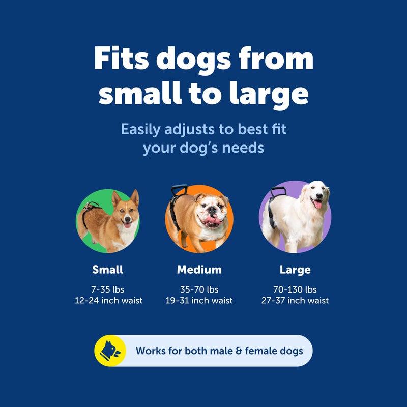 PetSafe CareLift Rear Support Harness - Senior & Disabled Dog Rear Mobility Support - Easy-Fitting, Breathable Belly Straps with Lifting Aid Handle & Shoulder Strap - for Medium Dogs 35-70 lb - Image 5