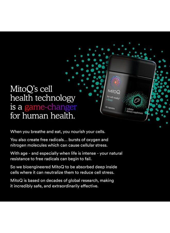 MitoQ - Mitoq +Liver Premium Coq10 Antioxidant - Contains Mitoquinol Mesylate, Choline, Milk Thistle, Selenium - Supports Metabolism, Liver Health, Body’S Natural Detoxification & Cell Vitality (60 Capsules) - Image 1