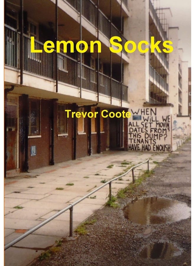 Lemon Socks - Image 1