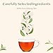 VAHDAM High Mountain Oolong Tea Bags 100 Count Non GMO Gluten Free  High Grown Oolong Tea Leaves  Light  Floral  Resealable Ziplock Pouch - Image 4