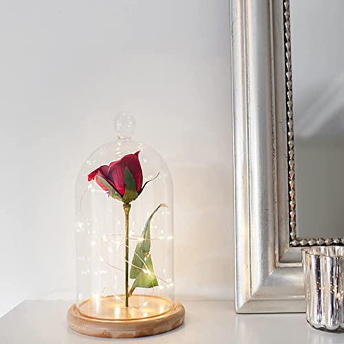 Lyellfe 2 Pack Cloche Glass Dome, 8'' x 5'' Dome Cloche with Rustic Wooden Base, Glass Cloche Bell Jar Display for Plants, Fairy Lights or Table Decor - Image 4