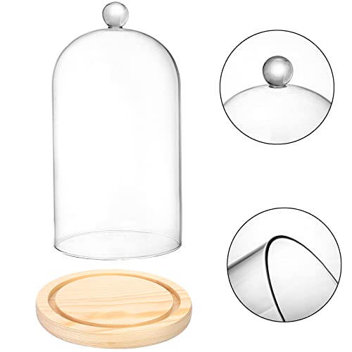 Lyellfe 2 Pack Cloche Glass Dome, 8'' x 5'' Dome Cloche with Rustic Wooden Base, Glass Cloche Bell Jar Display for Plants, Fairy Lights or Table Decor - Image 3