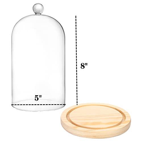 Lyellfe 2 Pack Cloche Glass Dome, 8'' x 5'' Dome Cloche with Rustic Wooden Base, Glass Cloche Bell Jar Display for Plants, Fairy Lights or Table Decor - Image 2