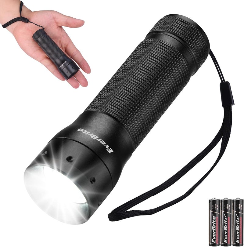 إيفربايت مصباح يدوي صغير إيفربريت، مصباح يدوي LED قابل للتحجيم، 3 أوضاع، يشمل 3 بطاريات AAA، مصباح يدوي صغير محمول للتخييم، الطوارئ، المنزل - Image 1