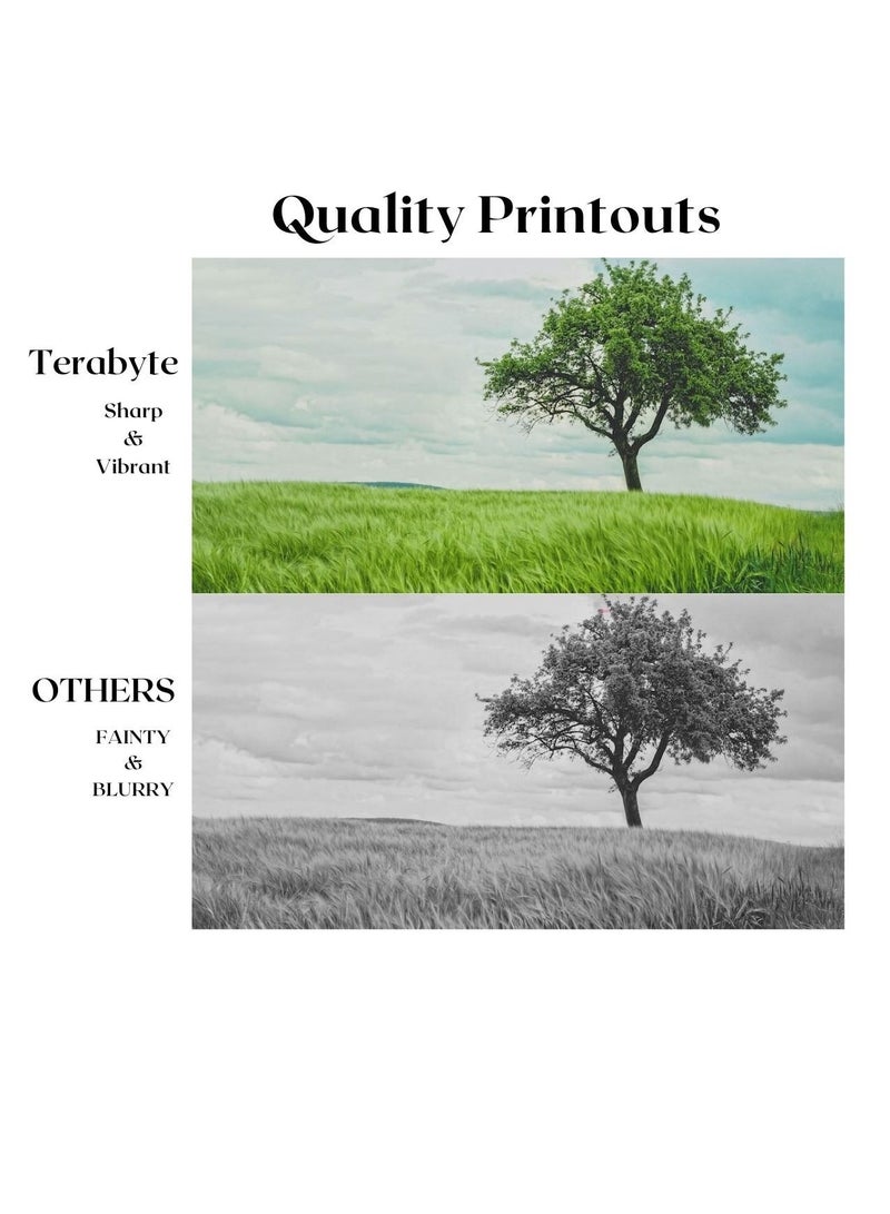 Terabyte 216A CYAN COMPATIBLE TONER - Image 4