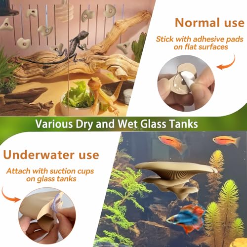 Okueejur Mushroom Terrarium Decor & Climbing Hold Kit,with 12 Rock Holds, Suction Cups & Adhesive Dots for Geckos, Frogs, Small Lizards & Snakes in Dry/Semi-Moist Habitats (Desert Beige) - Image 4