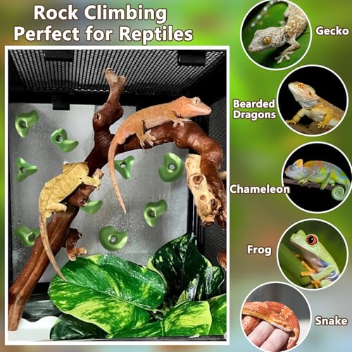 Okueejur Mushroom Terrarium Decor & Climbing Hold Kit,with 12 Rock Holds, Suction Cups & Adhesive Dots for Geckos, Frogs, Small Lizards & Snakes in Dry/Semi-Moist Habitats (Desert Beige) - Image 2