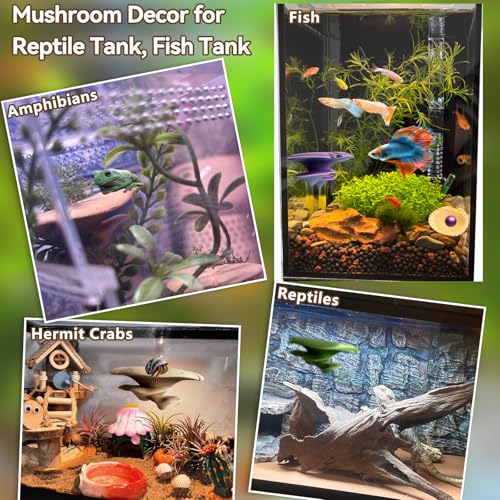 Okueejur Mushroom Terrarium Decor & Climbing Hold Kit,with 12 Rock Holds, Suction Cups & Adhesive Dots for Geckos, Frogs, Small Lizards & Snakes in Dry/Semi-Moist Habitats (Desert Beige) - Image 3