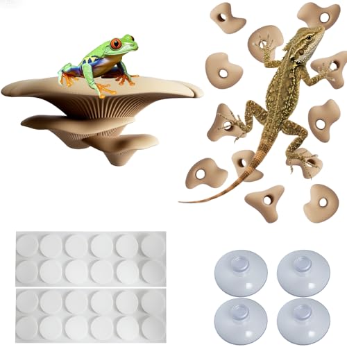 Okueejur Mushroom Terrarium Decor & Climbing Hold Kit,with 12 Rock Holds, Suction Cups & Adhesive Dots for Geckos, Frogs, Small Lizards & Snakes in Dry/Semi-Moist Habitats (Desert Beige) - Image 1